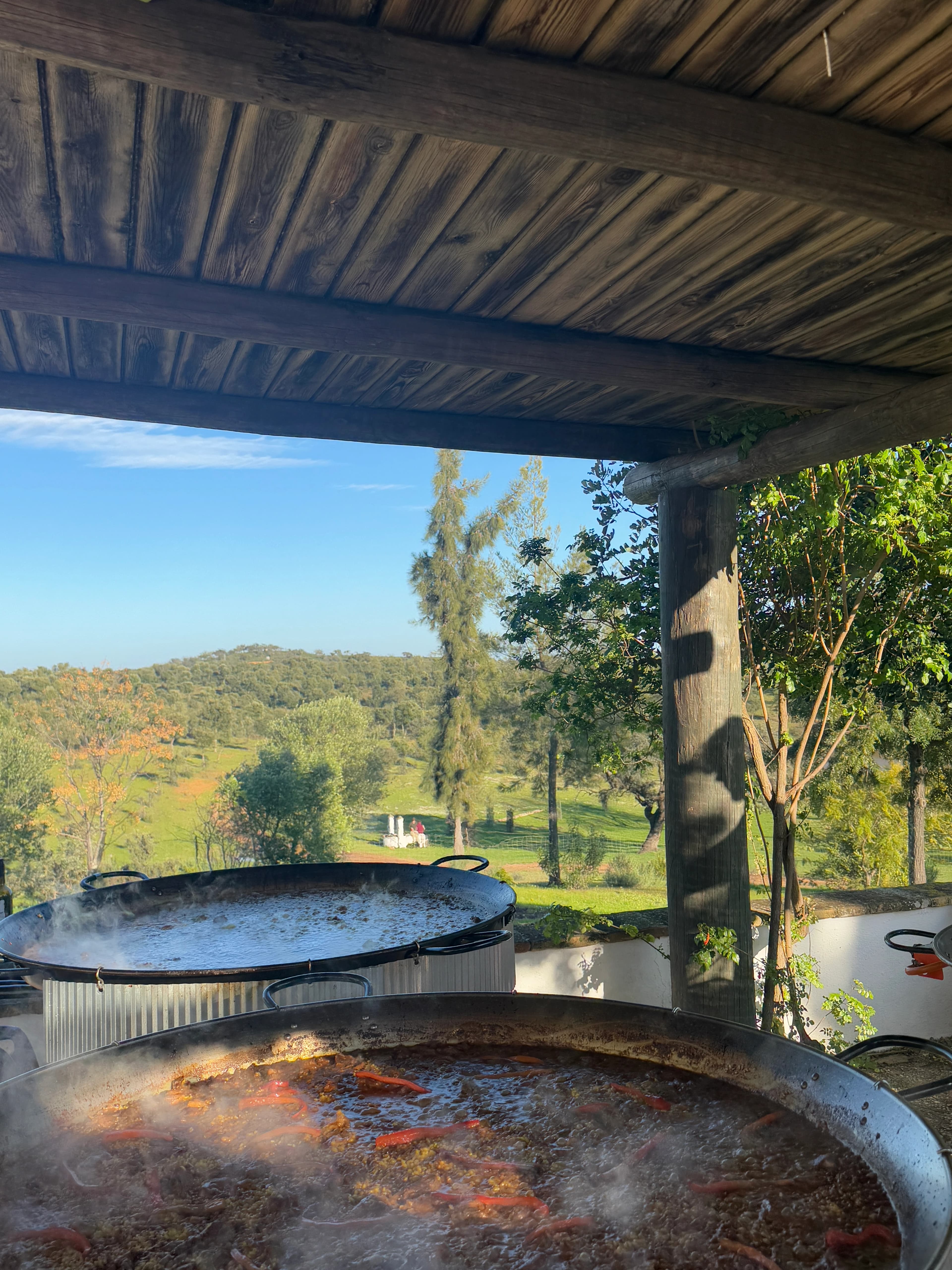 Suelta de palomas en Finca Las Coladas